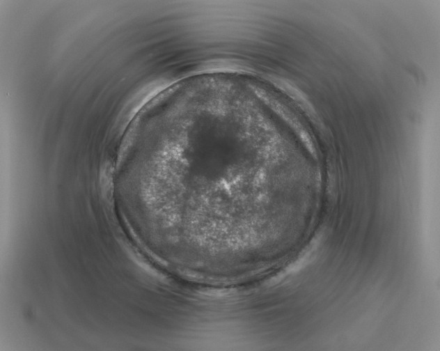 X0000113571369200910161509