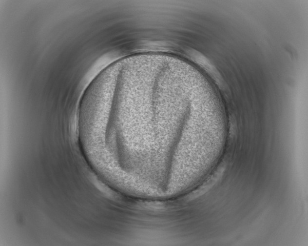 X0000113571370200910161509