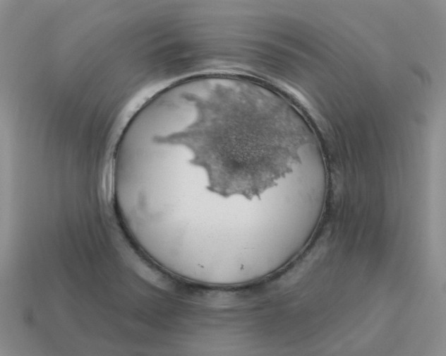 X0000113571371200910161509