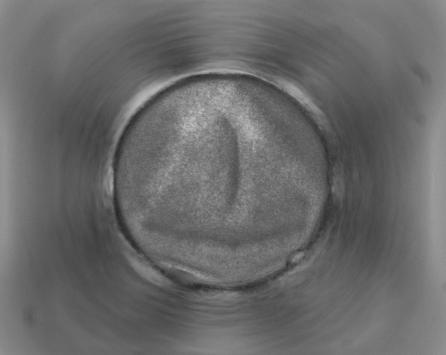 X0000113571372200910161509