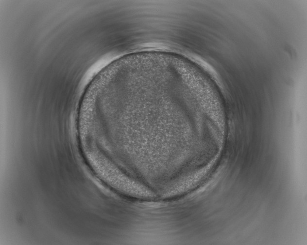 X0000113571373200910161509