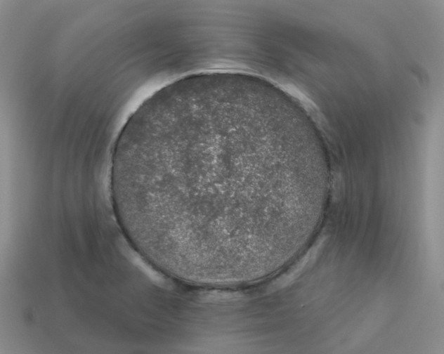 X0000113571374200910161509