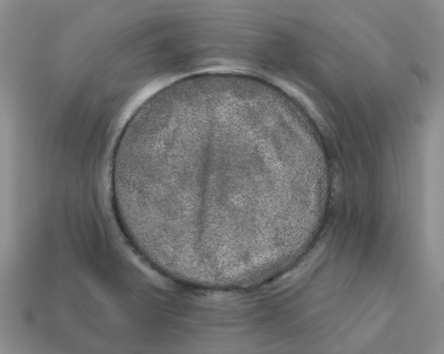 X0000113571375200910161509