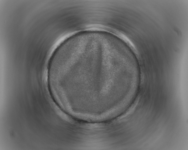 X0000113571376200910161509