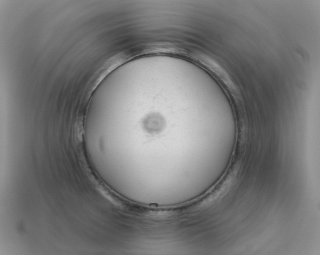 X0000113571377200910161509