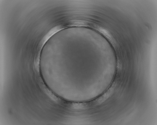 X0000113571378200910161509