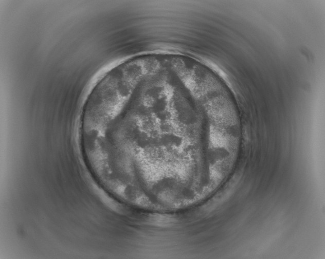 X0000113571379200910161509