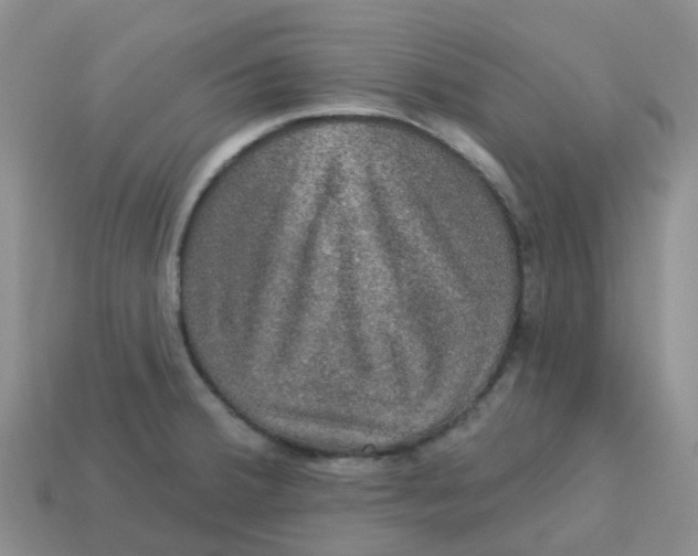 X0000113571380200910161509