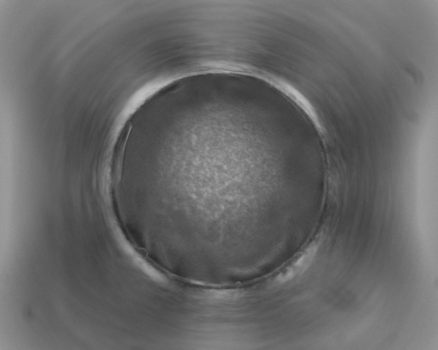 X0000113571381200910161509