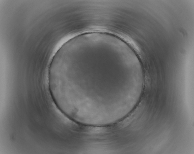 X0000113571382200910161509