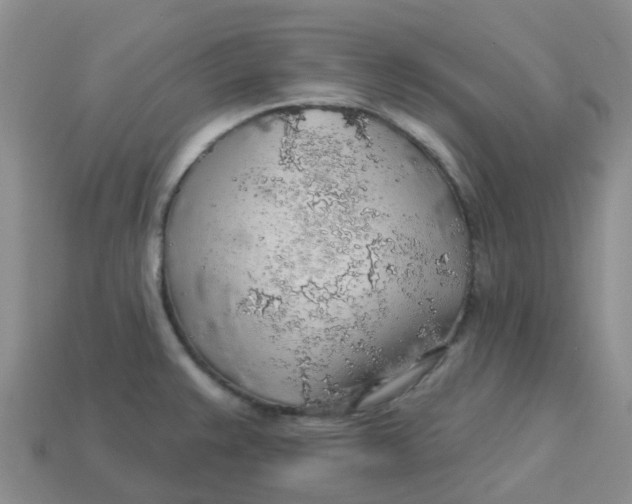 X0000113571383200910161509