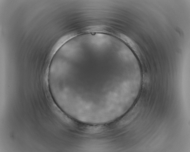 X0000113571386200910161508