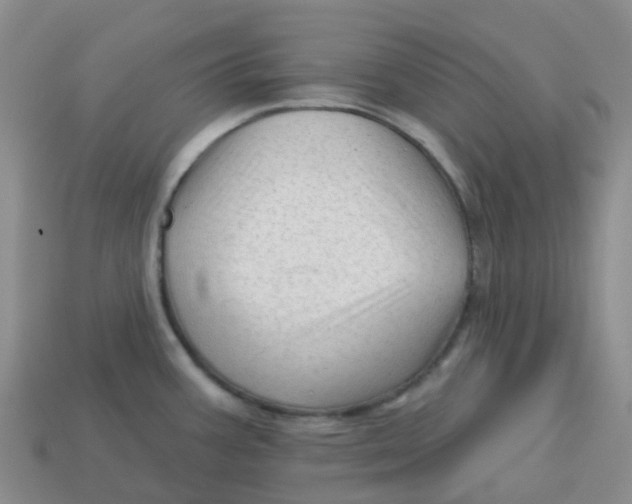 X0000113571387200910161508