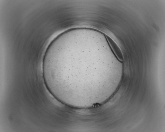 X0000113571388200910161508