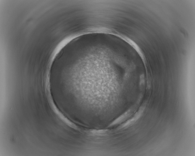 X0000113571389200910161508