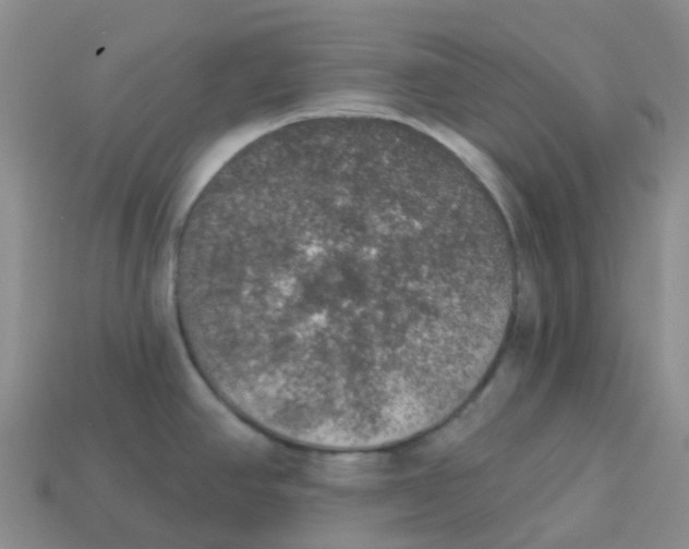 X0000113571390200910161508