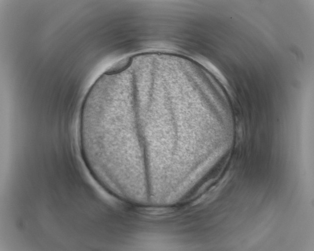 X0000113571391200910161508