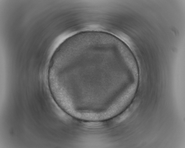 X0000113571392200910161508