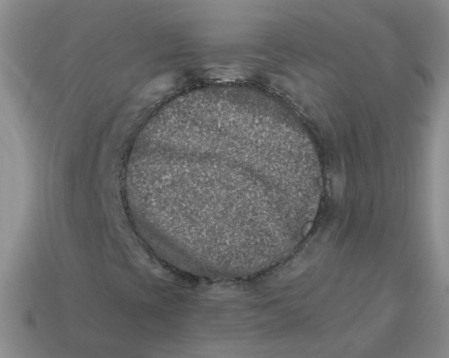 X0000113571393200910161508