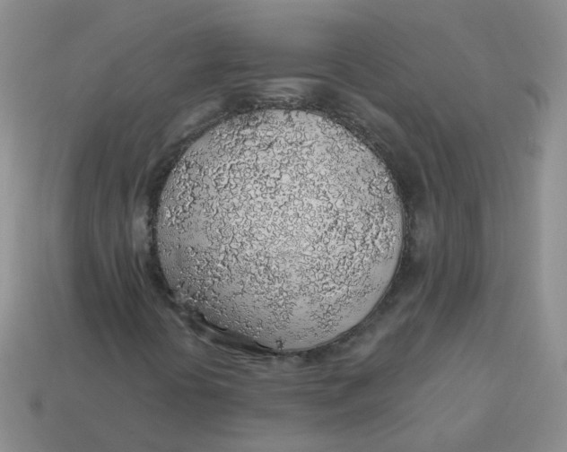 X0000113571394200910161508