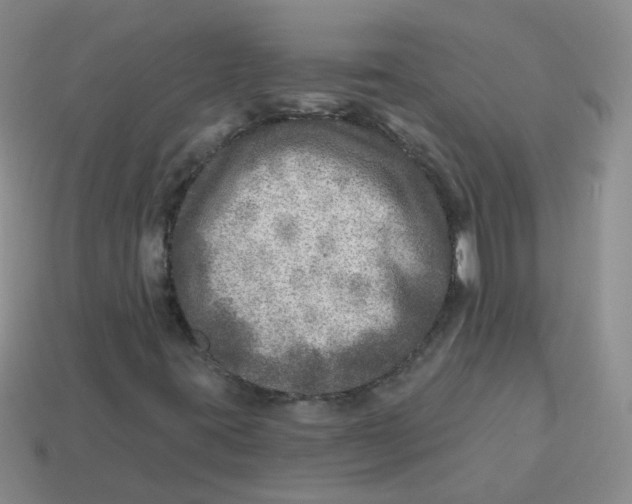 X0000113571395200910161508