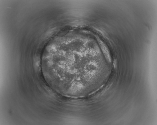 X0000113571396200910161508