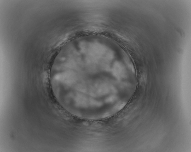 X0000113571397200910161508