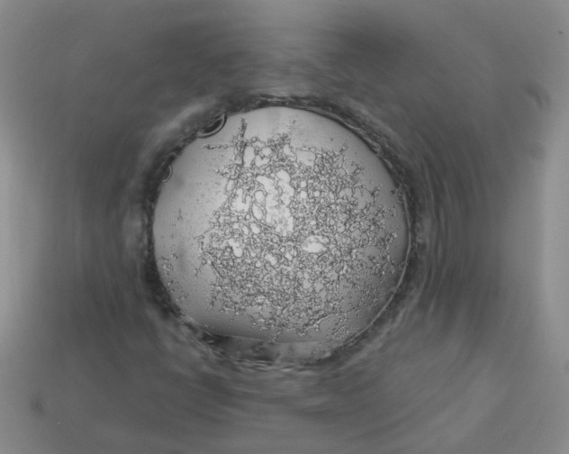 X0000113571398200910161508