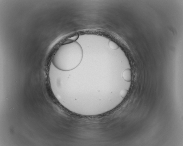 X0000113571400200910161508