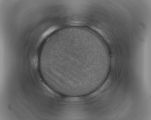 X0000113571402200910161508