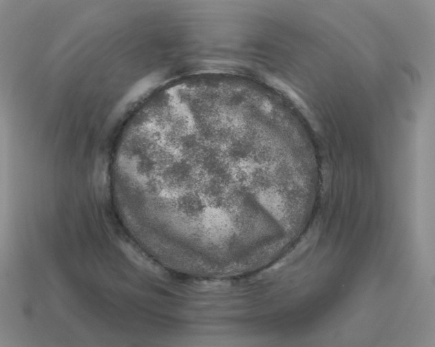 X0000113571403200910161508