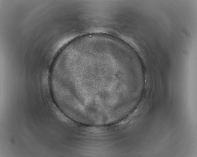 X0000113571404200910161508