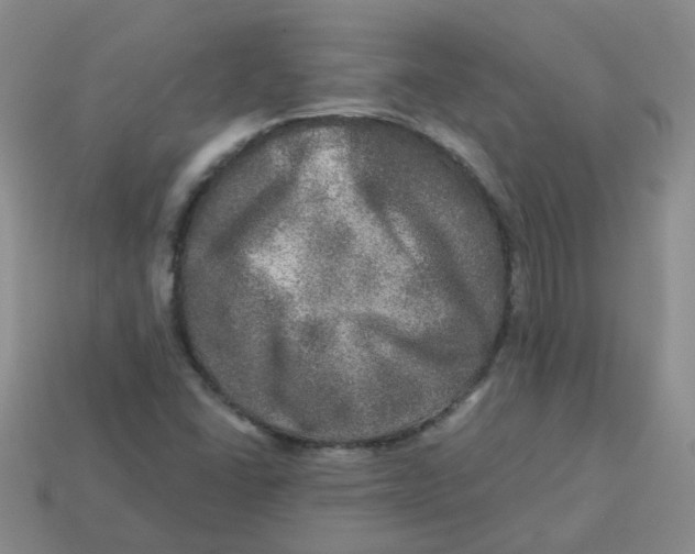 X0000113571406200910161508