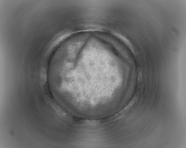 X0000113571407200910161508