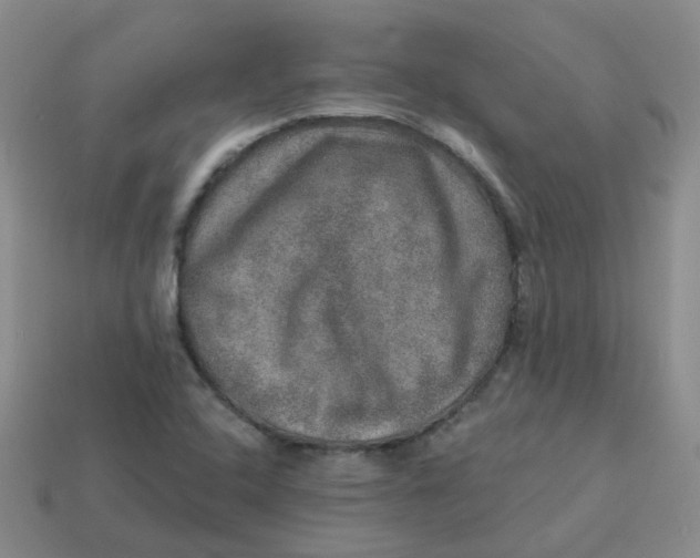 X0000113571408200910161508