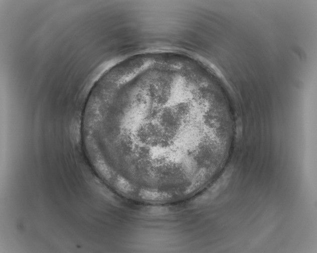 X0000113571409200910161508