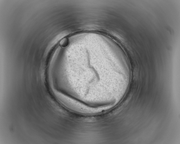 X0000113571410200910161508