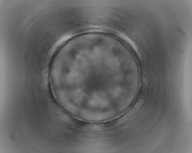 X0000113571411200910161508