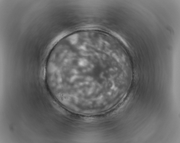 X0000113571413200910161508