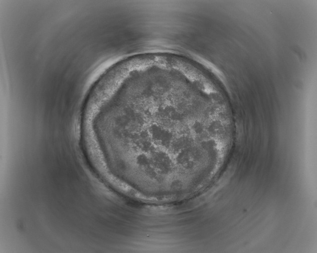 X0000113571415200910161508