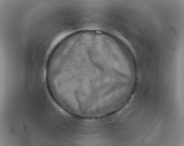 X0000113571416200910161508