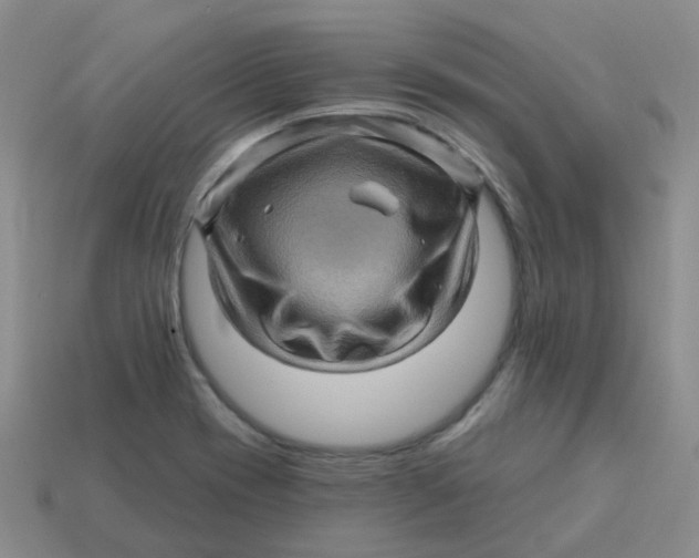 X0000113571417200910161508