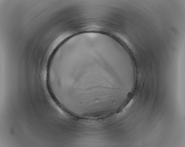 X0000113571418200910161508