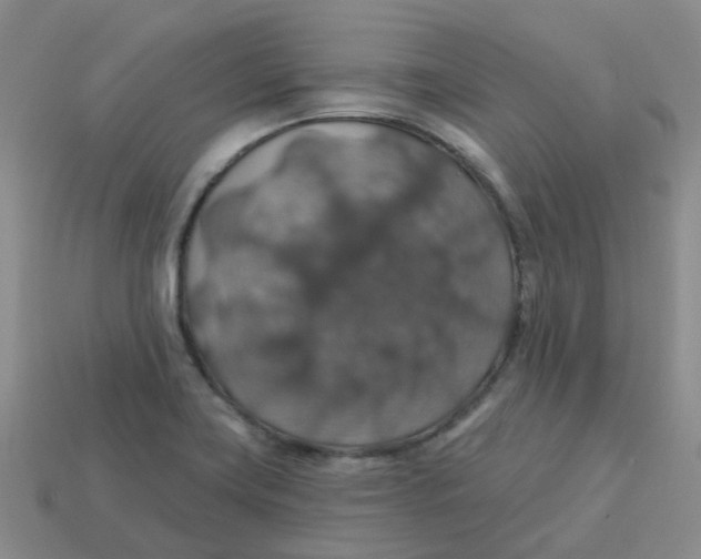 X0000113571419200910161508