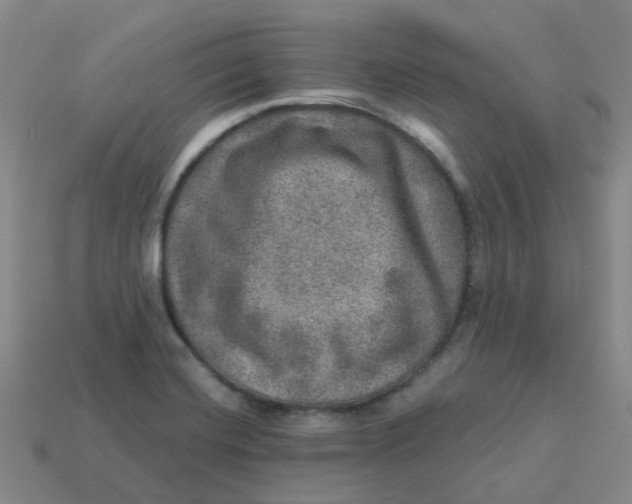 X0000113571420200910161508