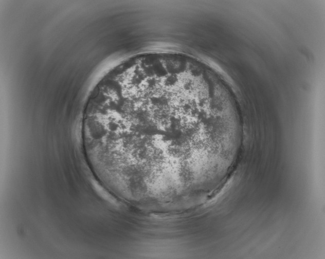 X0000113571421200910161508