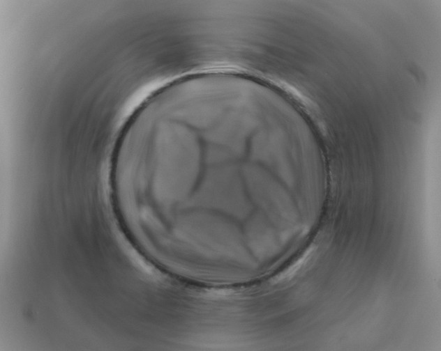 X0000113571422200910161508