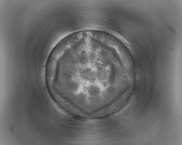 X0000113571423200910161508