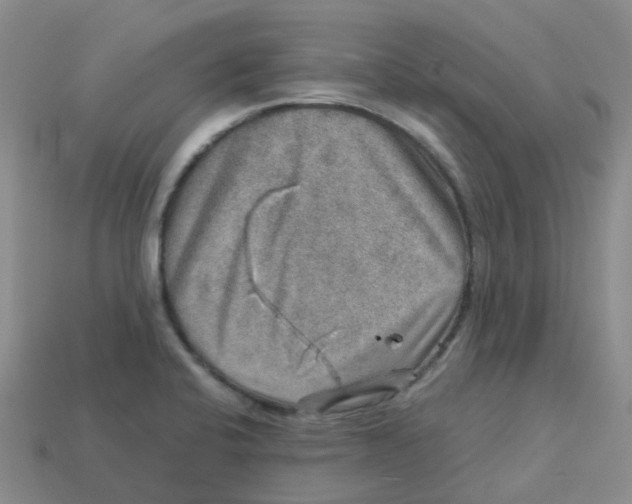 X0000113571424200910161508