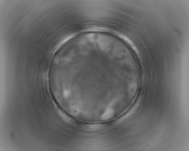 X0000113571425200910161508